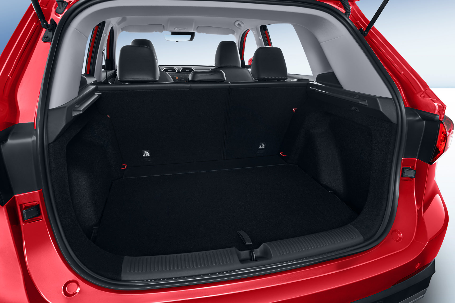 Trunk-1-1
